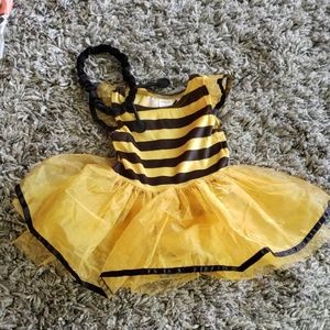 Baby Bumblebee